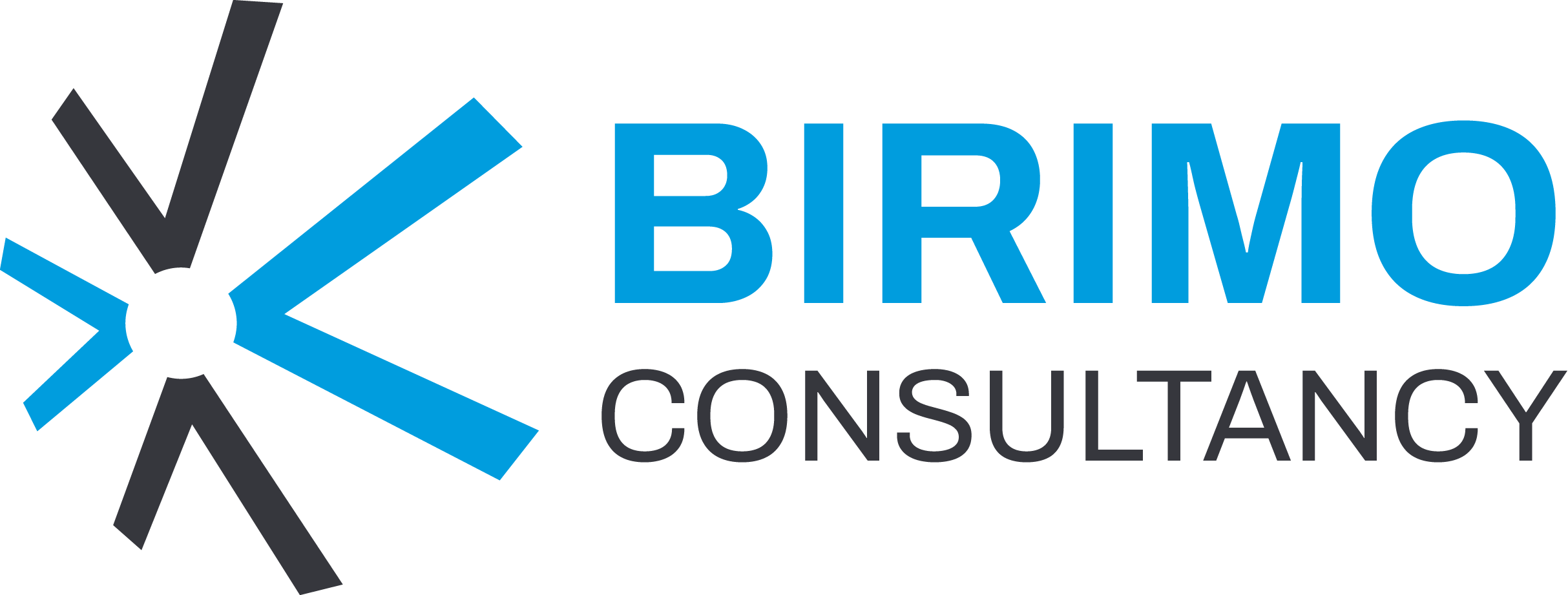 Birimo Consultancy