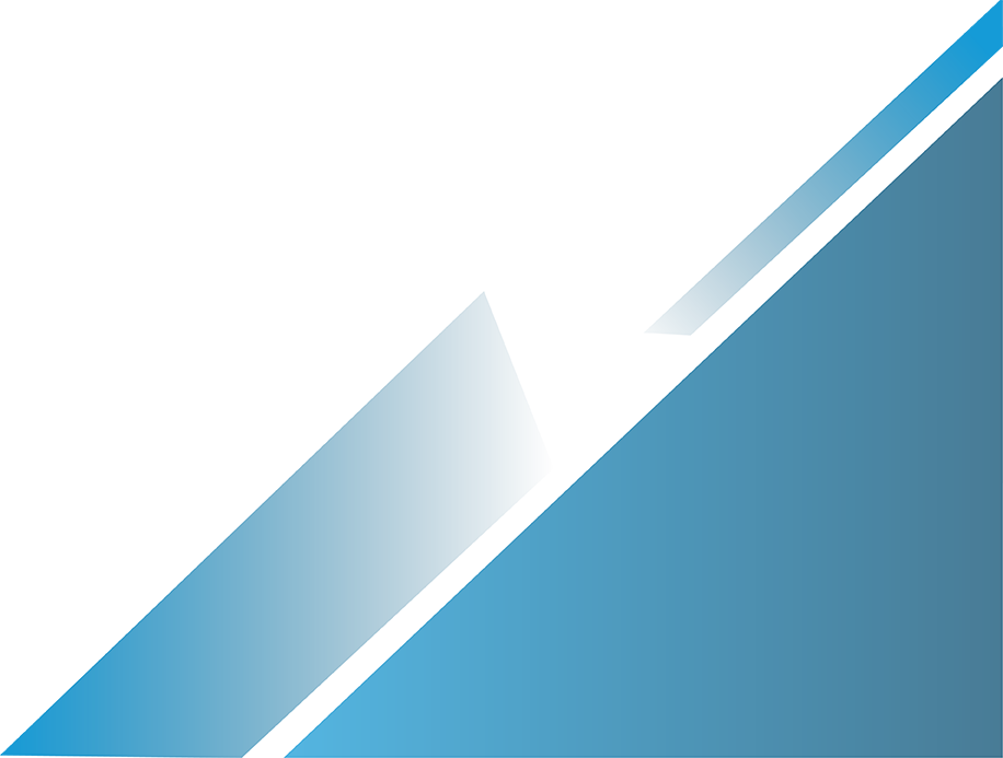 Birimo Consultancy